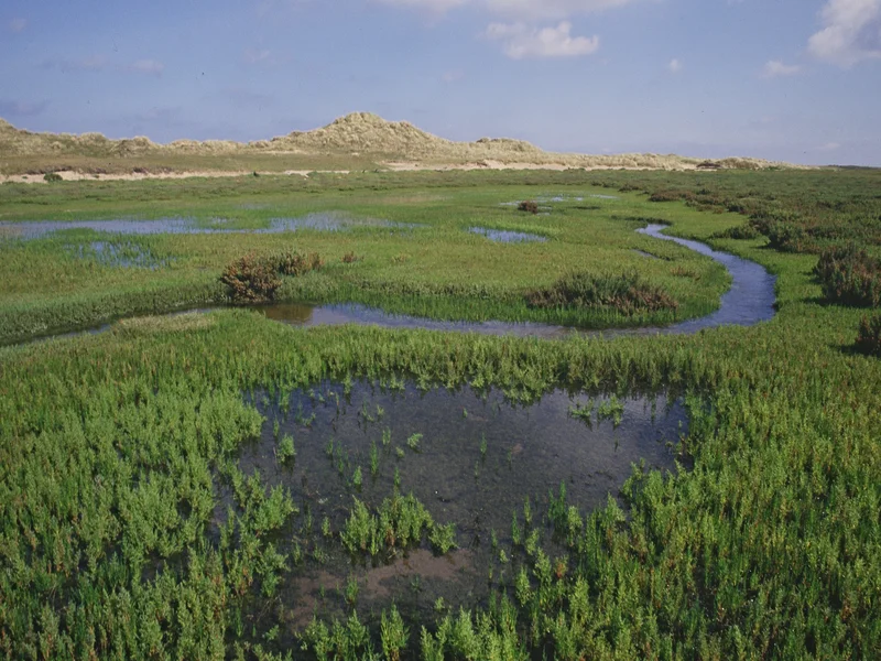 Blakeney Blakeney
